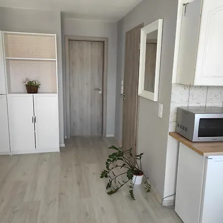 Szegfu *